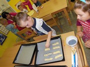 Pečeme chleba, housky, rohlíky, koláče